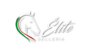 Selleria Elite del Cavallo, Palermo