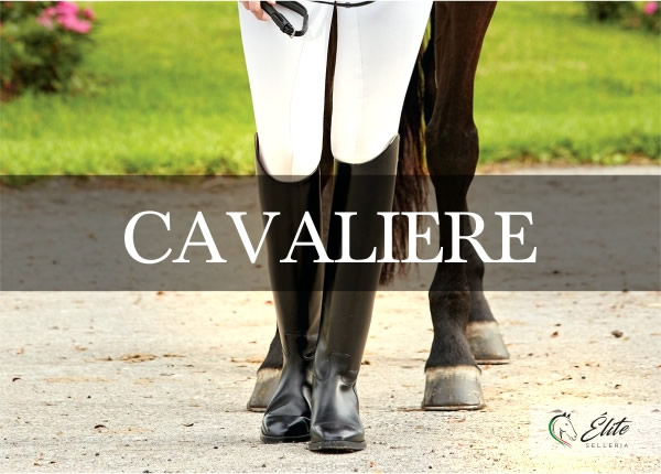 Selleria Élite del cavallo, vendita online articoli per il cavaliere