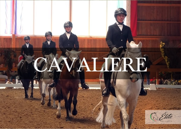 Selleria Élite del cavallo, vendita online articoli per il cavaliere