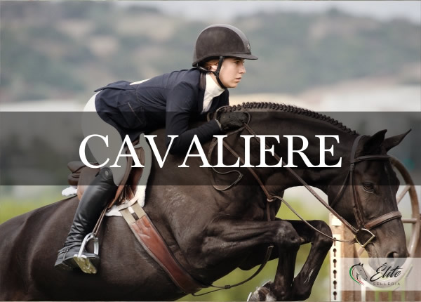 Selleria Élite del cavallo, vendita online articoli per il cavaliere