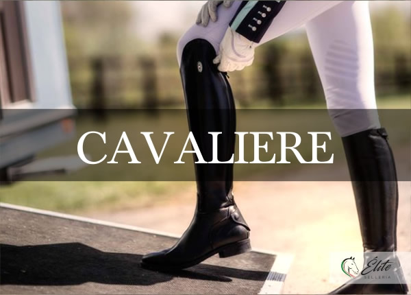 Selleria Élite del cavallo, vendita online articoli per il cavaliere