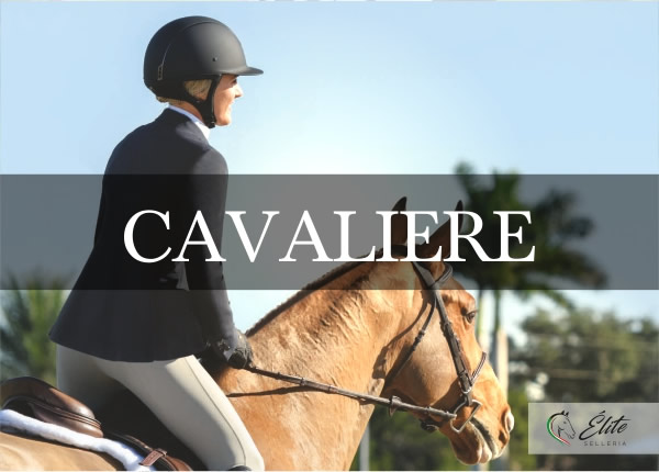 Selleria Élite del cavallo, vendita online articoli per il cavaliere