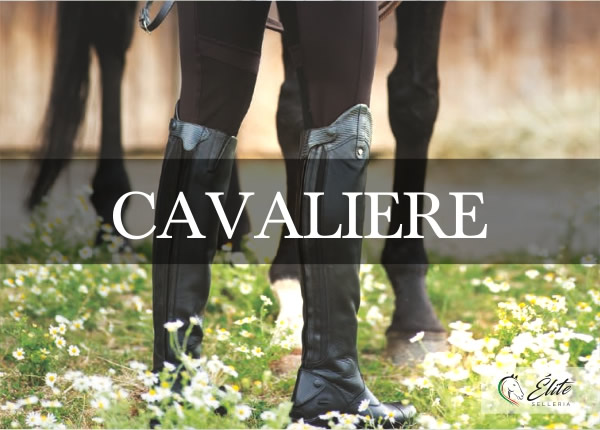 Selleria Élite del cavallo, vendita online articoli per il cavaliere