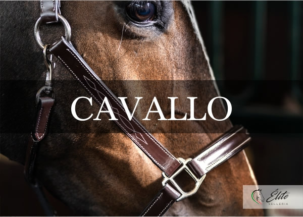 Selleria Élite del cavallo, vendita online articoli per il cavallo
