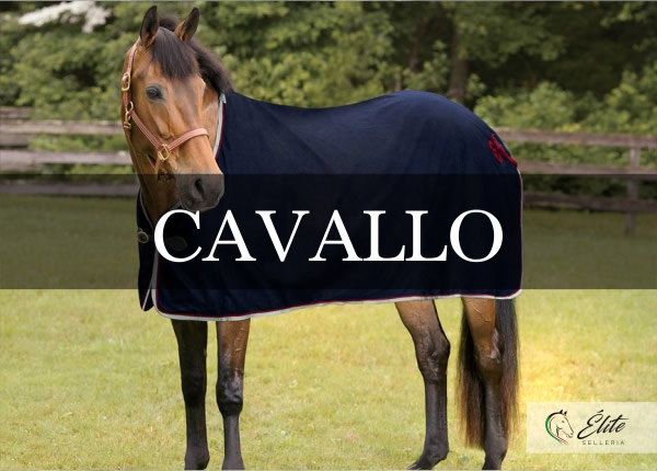 Selleria Élite del cavallo, vendita online articoli per il cavallo