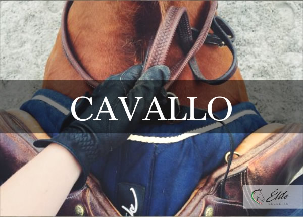 Selleria Élite del cavallo, vendita online articoli per il cavallo