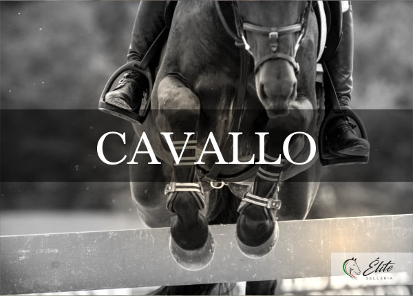 Selleria Élite del cavallo, vendita online articoli per il cavallo