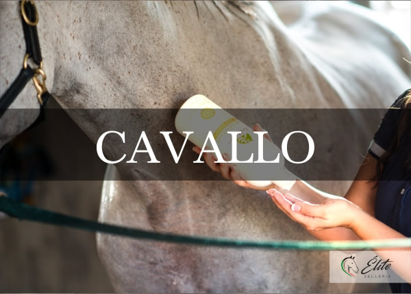 Selleria Élite del cavallo, vendita online articoli per il cavallo