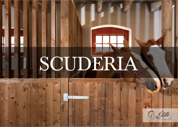 Selleria Élite del cavallo, vendita online articoli per la scuderia