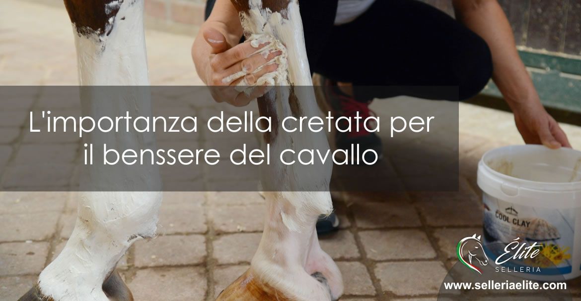 L'importanza della cretata per il benessere dei cavalli