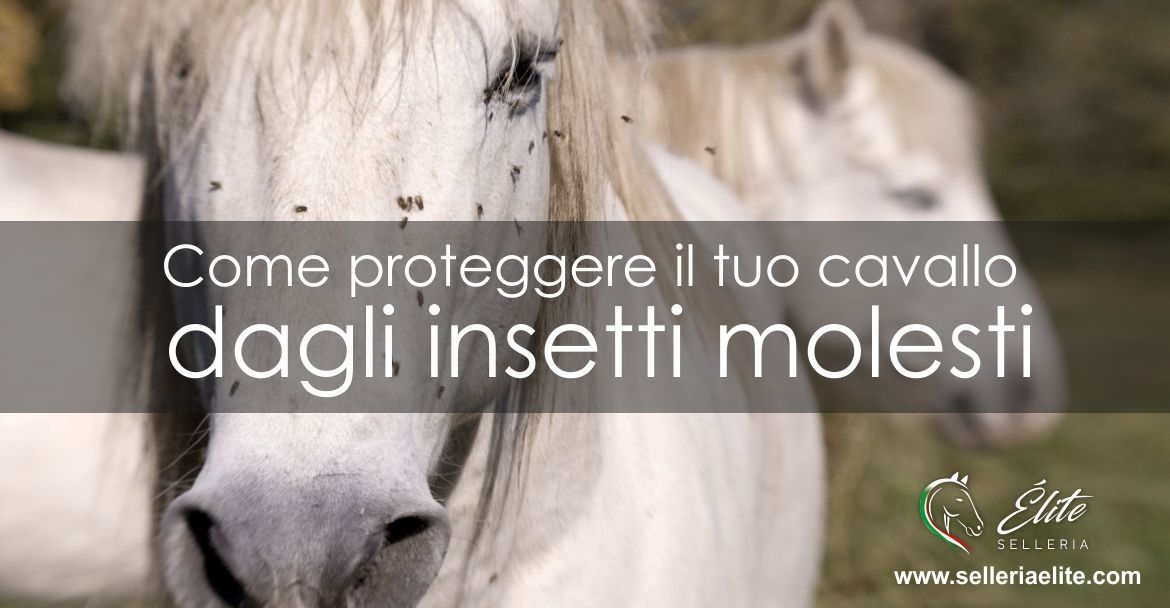 La guida definitiva come proteggere il tuo cavallo da mosche e altri insetti