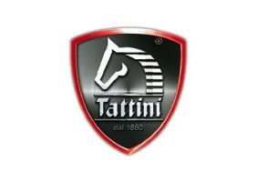 Tattini