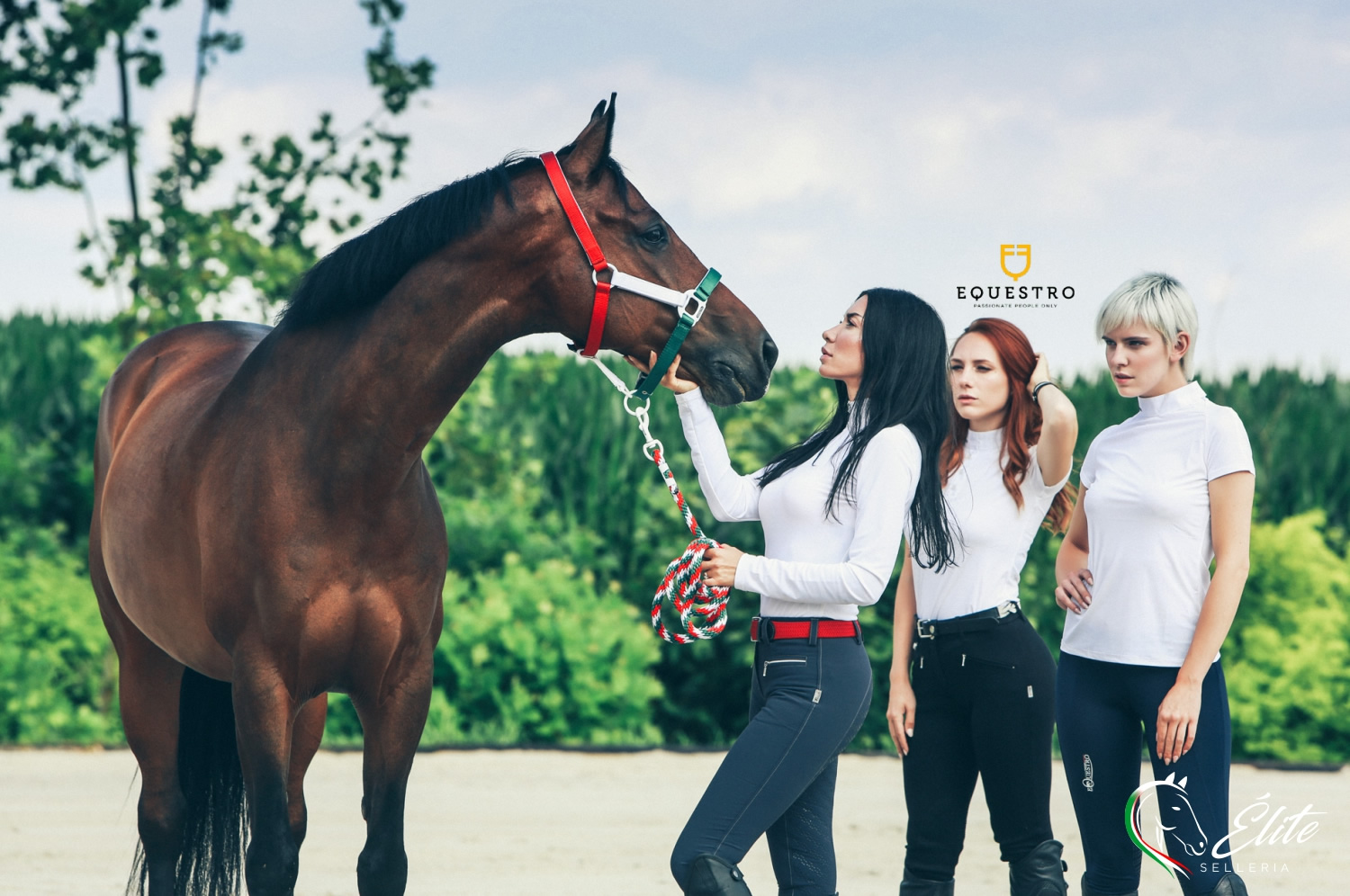 Selleria Online Élite del cavallo, Palermo