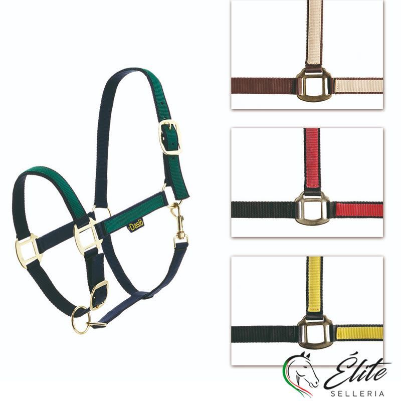 Vendita online CAPEZZA DASLO ROMA VARI COLORI - Selleria &Eacute;lite del cavallo - Palermo - Sicilia- Italia
