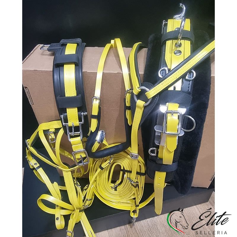 FINIMENTO COMPLETO DASLO TROTTO GIALLO/NERO