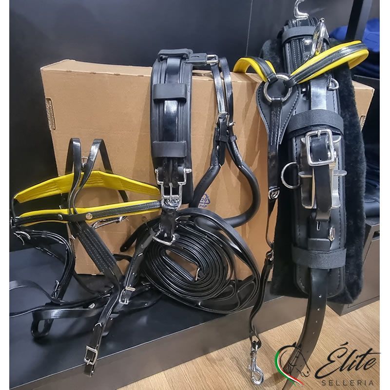 FINIMENTO COMPLETO DASLO TROTTO NERO/GIALLO