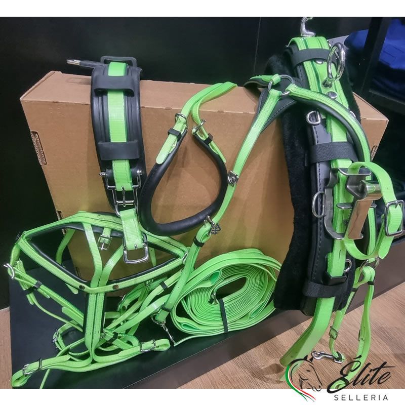 FINIMENTO COMPLETO DASLO TROTTO VERDE FLUO/ NERO