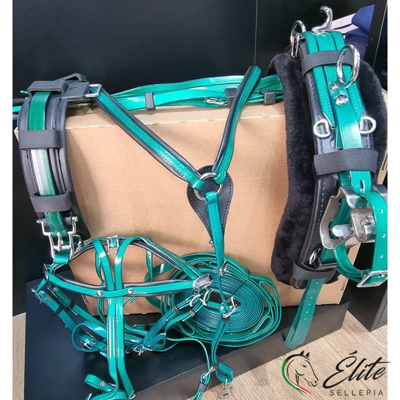 FINIMENTO COMPLETO DASLO TROTTO VERDE SCURO / NERO