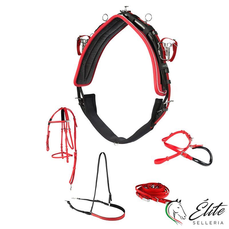 FINIMENTO COMPLETO FINNTACK QH IN BETA ROSSO