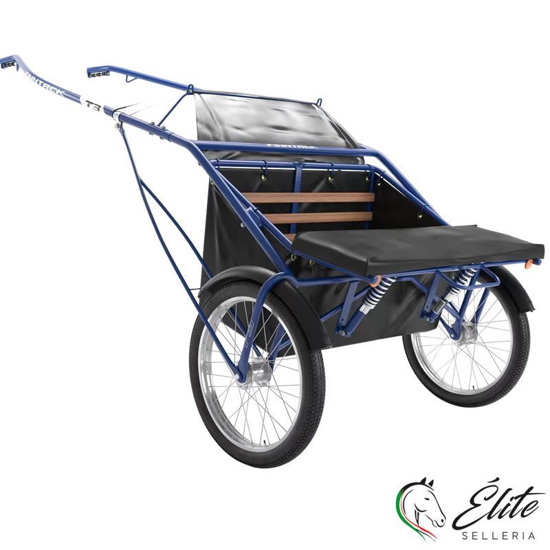 GHIG DA ALLENAMENTO ROCKCART T3 BLU QH SENZA RUOTE
