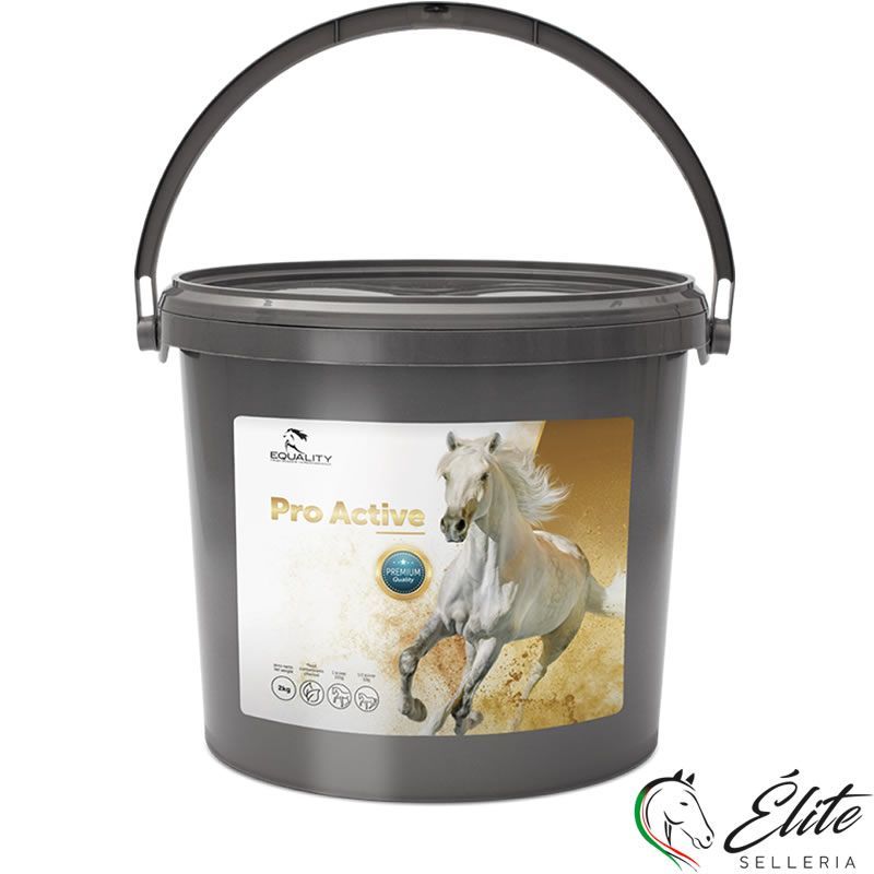 Vendita online PRO ACTIVE - Selleria Élite del cavallo - Palermo - Sicilia- Italia