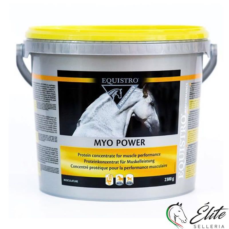 MYO POWER SECCHIO 2,3 KG.