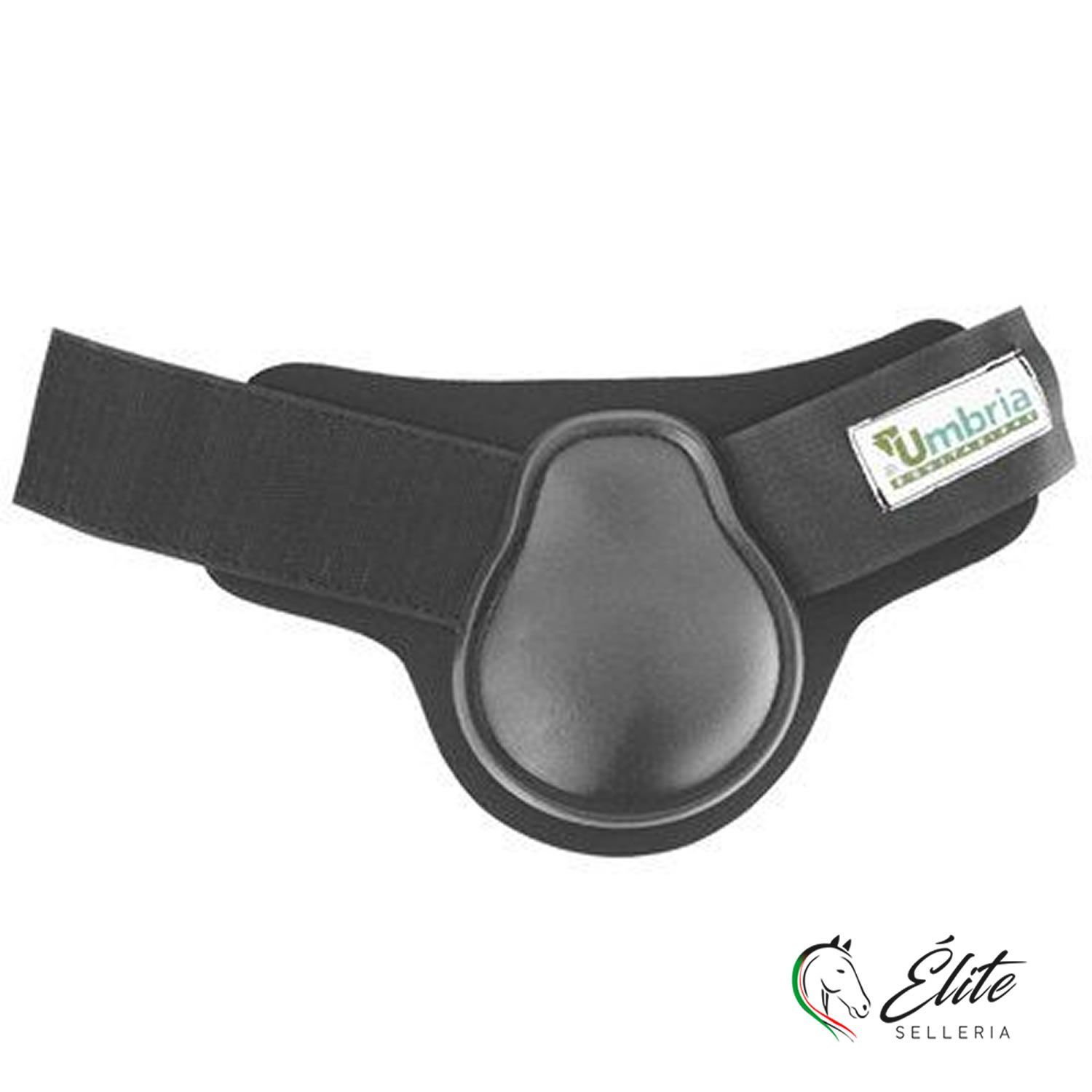 Vendita online PARANOCCHE IN NEOPRENE CON RINFORZO IN PLASTICA E CHIUSURA IN VELCRO SIZE : m - Selleria Élite del cavallo - Palermo - Sicilia- Italia