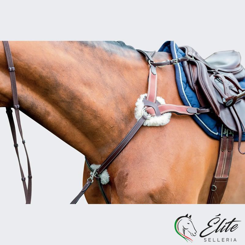 Vendita online PETTORALE PRESTIGE A 5 PUNTE - Selleria Élite del cavallo - Palermo - Sicilia- Italia