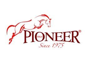 vendita online prodotti marca: Pioneer