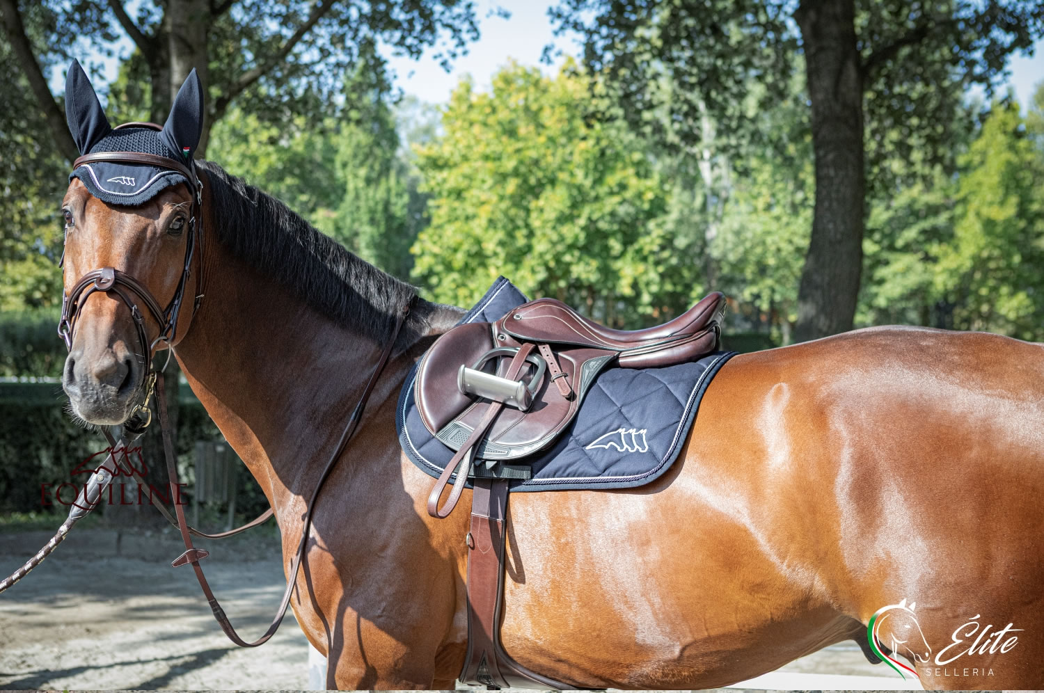 Selleria Online Élite del cavallo, Palermo