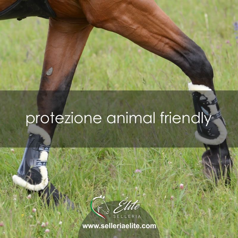 Comfort e protezione animal friendly