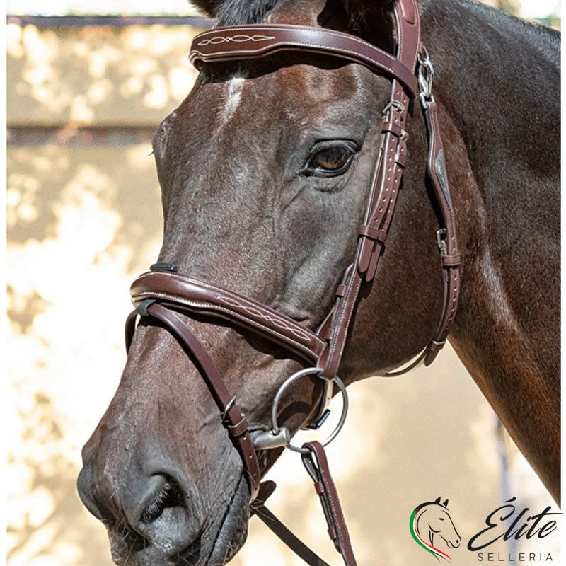 TESTIERA ANATOMICA READY TO RIDE JUMPING MARRONE