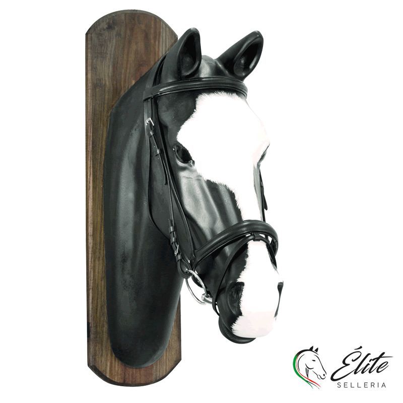 Vendita online Briglia inglese completa di redini - Selleria Élite del cavallo - Palermo - Sicilia- Italia