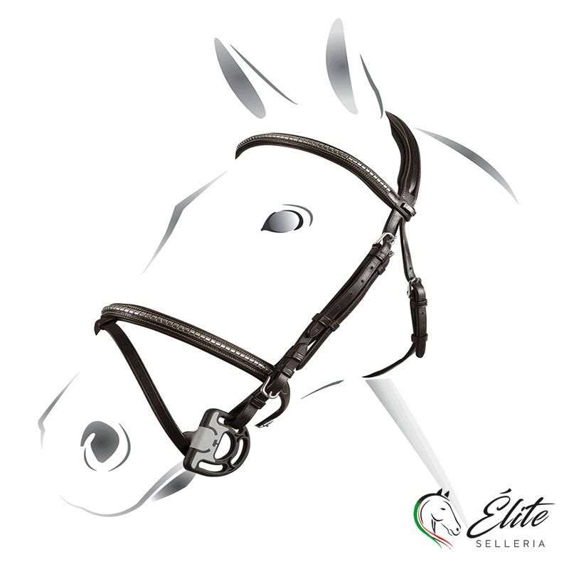 Monta inglese, Briglie,  - vendita online Briglia equestro Clincher - marca: Equestro - Selleria Élite del cavallo - Palermo - Sicilia- Italia