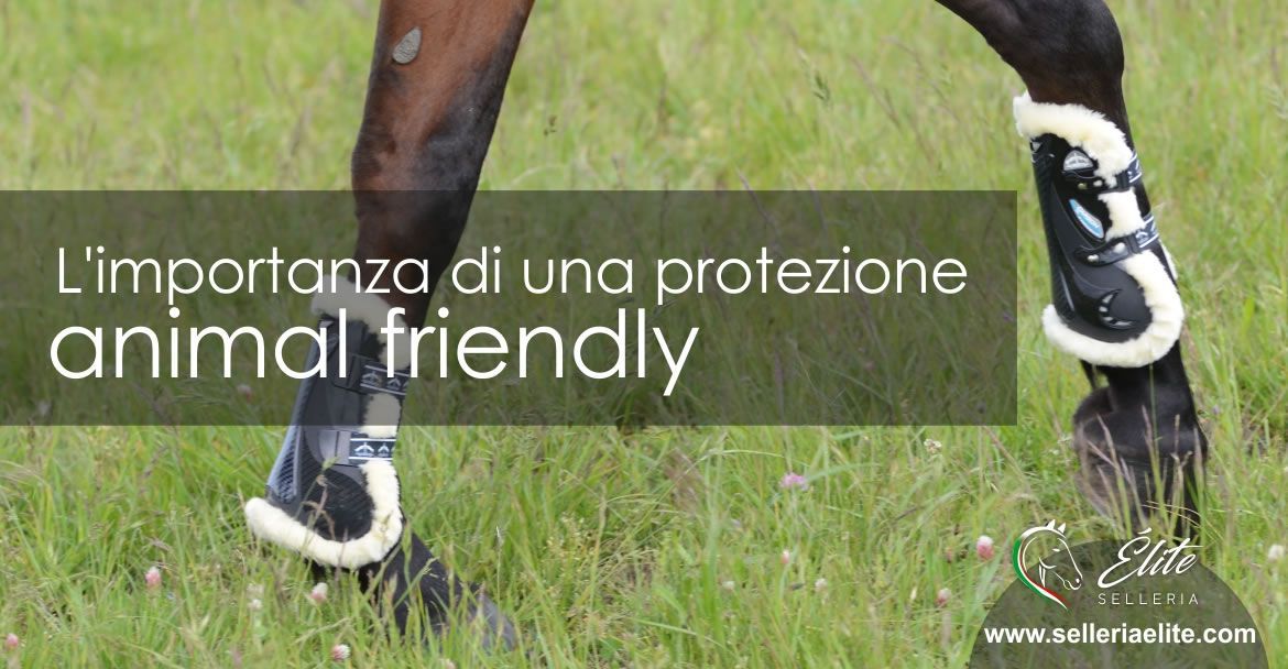 Comfort e protezione animal friendly